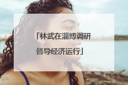 林武在淄博调研督导经济运行