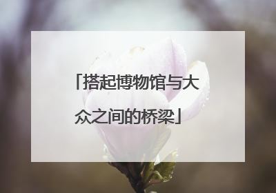 搭起博物馆与大众之间的桥梁