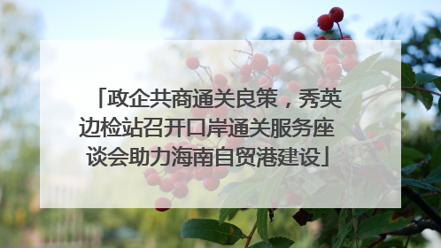 政企共商通关良策，秀英边检站召开口岸通关服务座谈会助力海南自贸港建设