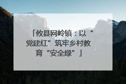 攸县网岭镇：以“党建红”筑牢乡村教育“安全绿”