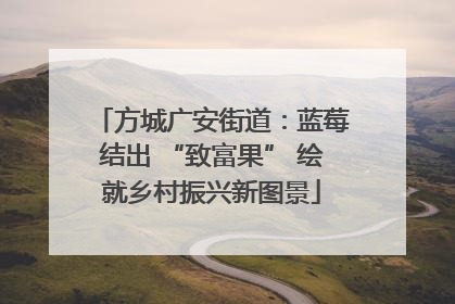 方城广安街道：蓝莓结出 “致富果” 绘就乡村振兴新图景