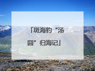 斑海豹“汤圆”归海记