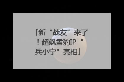 新“战友”来了！超飒雪豹IP“兵小宁”亮相