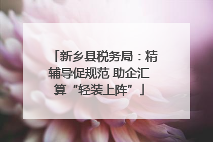新乡县税务局：精辅导促规范 助企汇算“轻装上阵”