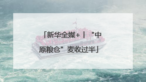 新华全媒+丨“中原粮仓”麦收过半