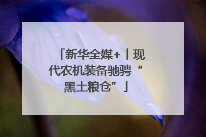 新华全媒+丨现代农机装备驰骋“黑土粮仓”