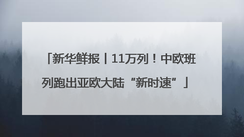 新华鲜报丨11万列！中欧班列跑出亚欧大陆“新时速”