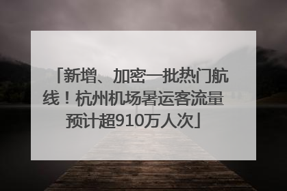 新增、加密一批热门航线！杭州机场暑运客流量预计超910万人次