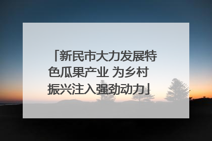 新民市大力发展特色瓜果产业 为乡村振兴注入强劲动力
