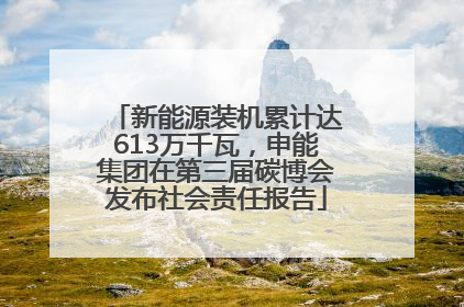 新能源装机累计达613万千瓦，申能集团在第三届碳博会发布社会责任报告