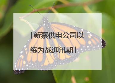 新蔡供电公司以练为战迎汛期