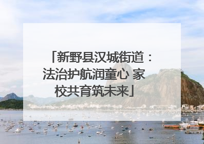 新野县汉城街道：法治护航润童心 家校共育筑未来