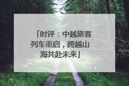 时评：中越旅客列车重启，跨越山海共赴未来