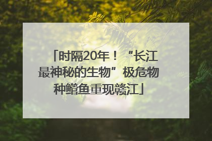 时隔20年！“长江最神秘的生物”极危物种鳤鱼重现赣江