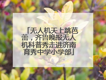 无人机天上跳芭蕾，齐鲁晚报无人机科普秀走进济南育秀中学小学部