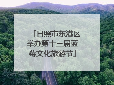 日照市东港区举办第十三届蓝莓文化旅游节