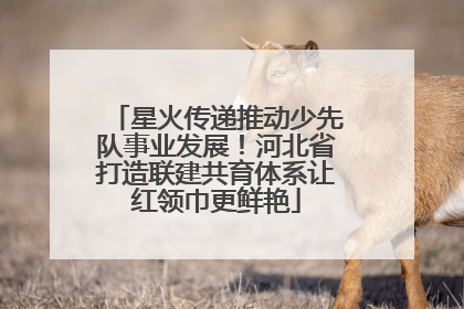 星火传递推动少先队事业发展！河北省打造联建共育体系让红领巾更鲜艳