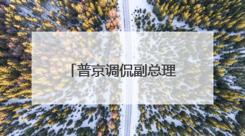 普京调侃副总理：我俩到底谁在克格勃工作过