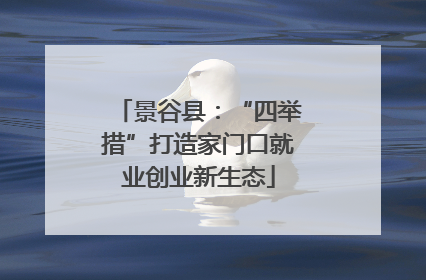 景谷县：“四举措”打造家门口就业创业新生态