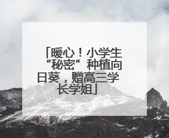 暖心！小学生“秘密”种植向日葵，赠高三学长学姐