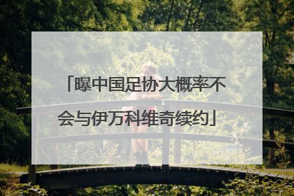 曝中国足协大概率不会与伊万科维奇续约