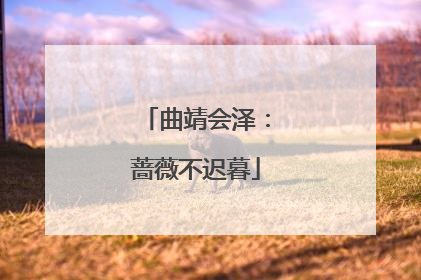 曲靖会泽：蔷薇不迟暮