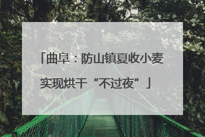 曲阜：防山镇夏收小麦实现烘干“不过夜”