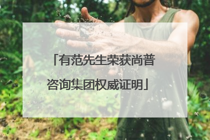 有范先生荣获尚普咨询集团权威证明
