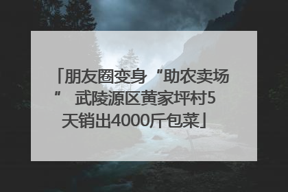 朋友圈变身“助农卖场” 武陵源区黄家坪村5天销出4000斤包菜