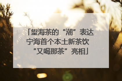 望海茶的“潮”表达 宁海首个本土新茶饮“又喝那茶”亮相