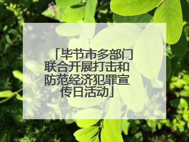 毕节市多部门联合开展打击和防范经济犯罪宣传日活动