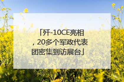 歼-10CE亮相，20多个军政代表团密集到访展台