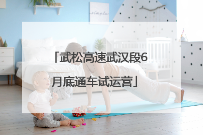 武松高速武汉段6月底通车试运营