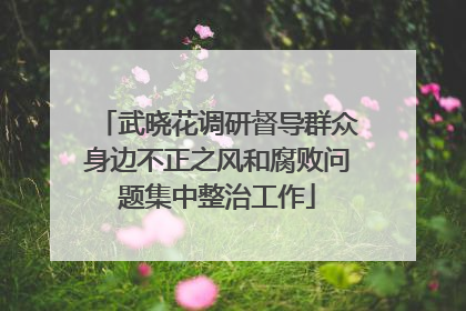 武晓花调研督导群众身边不正之风和腐败问题集中整治工作