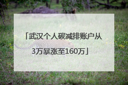 武汉个人碳减排账户从3万暴涨至160万