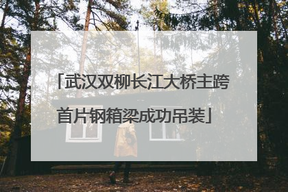 武汉双柳长江大桥主跨首片钢箱梁成功吊装