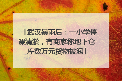 武汉暴雨后：一小学停课清淤，有商家称地下仓库数万元货物被泡