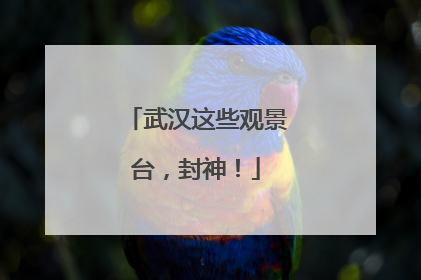 武汉这些观景台，封神！