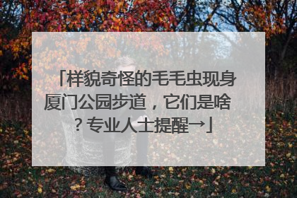 样貌奇怪的毛毛虫现身厦门公园步道，它们是啥？专业人士提醒→