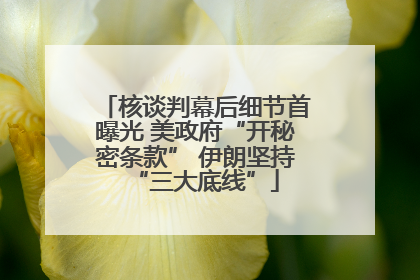 核谈判幕后细节首曝光 美政府“开秘密条款” 伊朗坚持“三大底线”