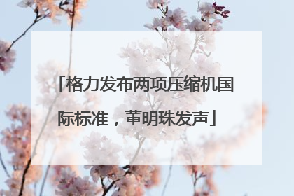 格力发布两项压缩机国际标准，董明珠发声