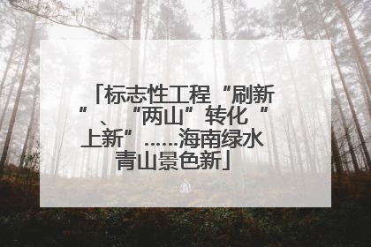 标志性工程“刷新”、“两山”转化“上新”……海南绿水青山景色新