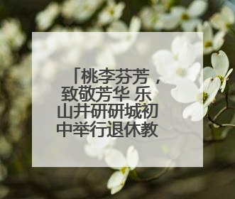 桃李芬芳，致敬芳华 乐山井研研城初中举行退休教师欢送会