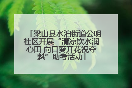 梁山县水泊街道公明社区开展“清凉饮水润心田 向日葵开花祝夺魁”助考活动