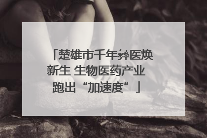 楚雄市千年彝医焕新生 生物医药产业跑出“加速度”
