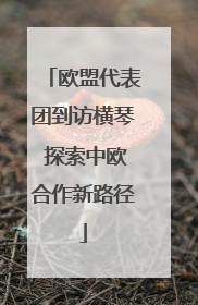 欧盟代表团到访横琴 探索中欧合作新路径
