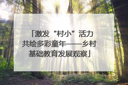 激发“村小”活力 共绘多彩童年——乡村基础教育发展观察