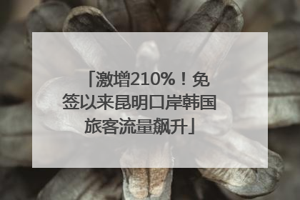 激增210%！免签以来昆明口岸韩国旅客流量飙升