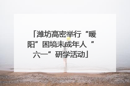 潍坊高密举行“暖阳”困境未成年人“六一”研学活动