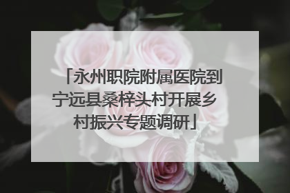 永州职院附属医院到宁远县桑梓头村开展乡村振兴专题调研